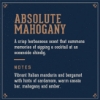 Imagine Sampon pentru par 3 in 1 (sampon,balsam,gel de dus) - MAN MADE - Absolute Mahogany - 100 ml