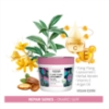 Imagine Masca reparatoare pentru par - AGIVA -  Ylang Ylang Liposomed C - 300 ml   