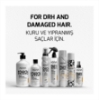Imagine Sampon pentru par - AGIVA - Milk Protein - 1000 ml  