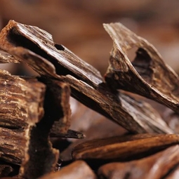 Sapun Lichid - KABINETT - 500 ml - Lemn de Oud